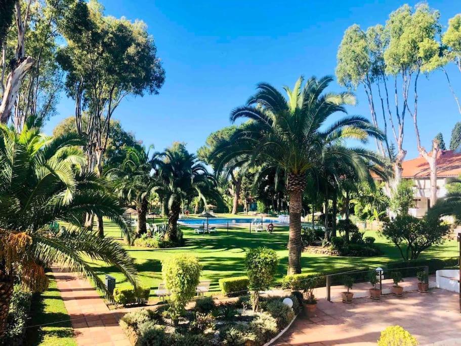 Puerto Banus Eddie Suite Marbella Exteriér fotografie