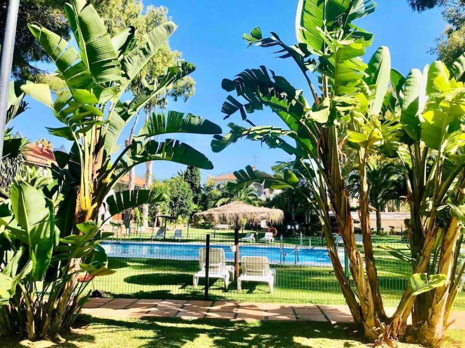 Puerto Banus Eddie Suite Marbella Exteriér fotografie
